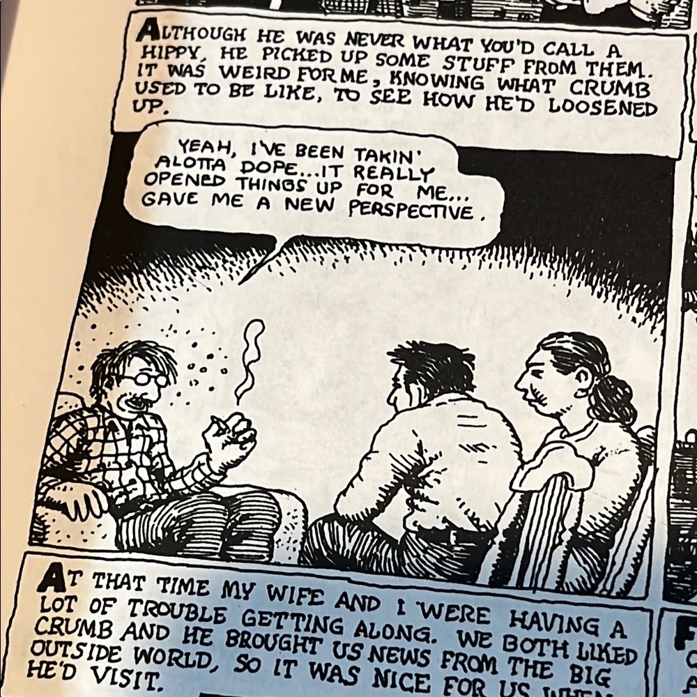 American Splendor Comics Anthology - 2003 - Movie edition - Picture 10 of 14